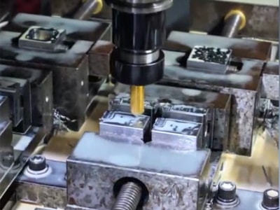 Production & Processing